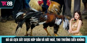 da ga cua sat cuoc hap dan va bat ngo thu thuong sieu khung