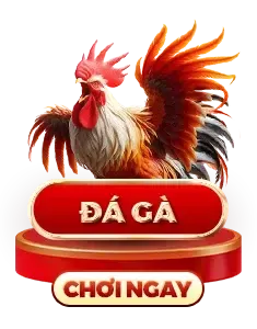Tx88 Đá gà